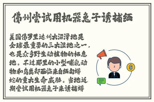 精品无人区一区二区三区